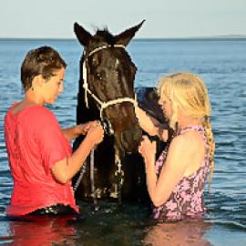 The Mozambique Horse Safari